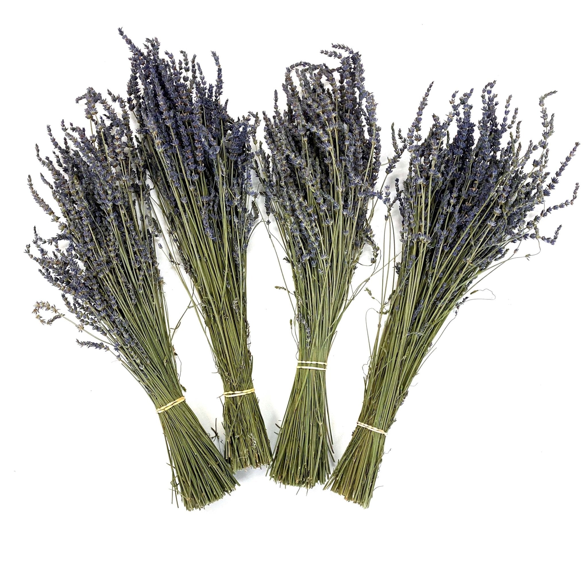 lavender plant dried Fragrant Dried Lavender Bunches (Set of 4)
