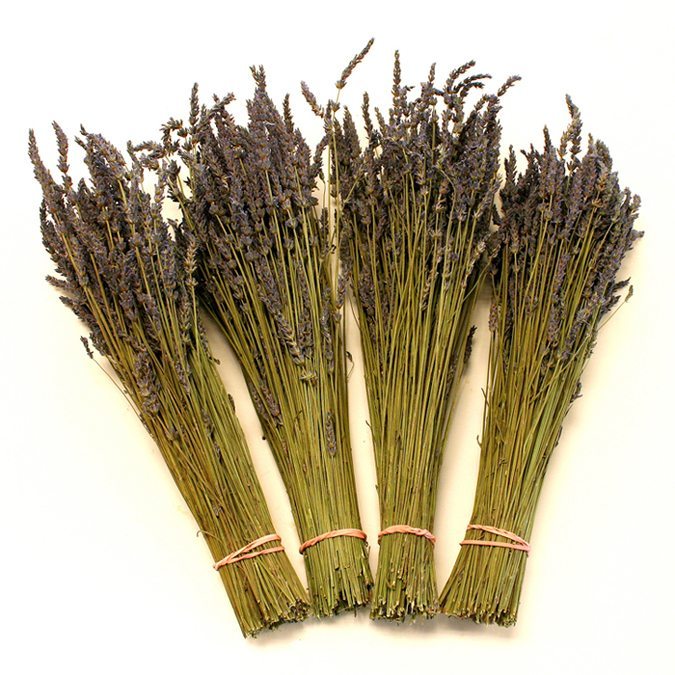 Dried Lavender Bunches (case of 18 bunches) - Creekside Farms Beautifully fragrant and hand harvested lavender bunches 20" Long