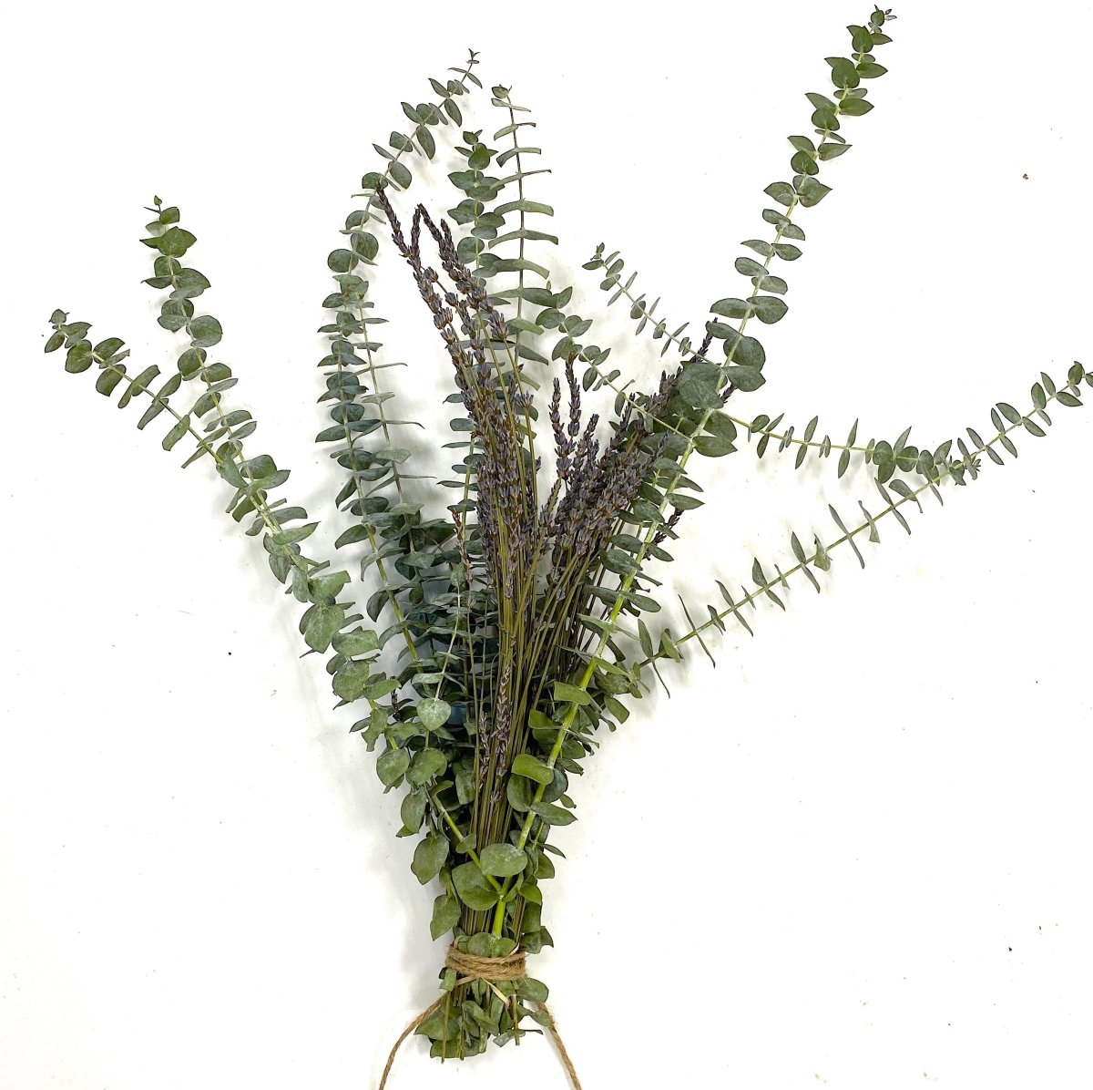 lavender plant in shower Fresh Eucalyptus & Lavender Bunch