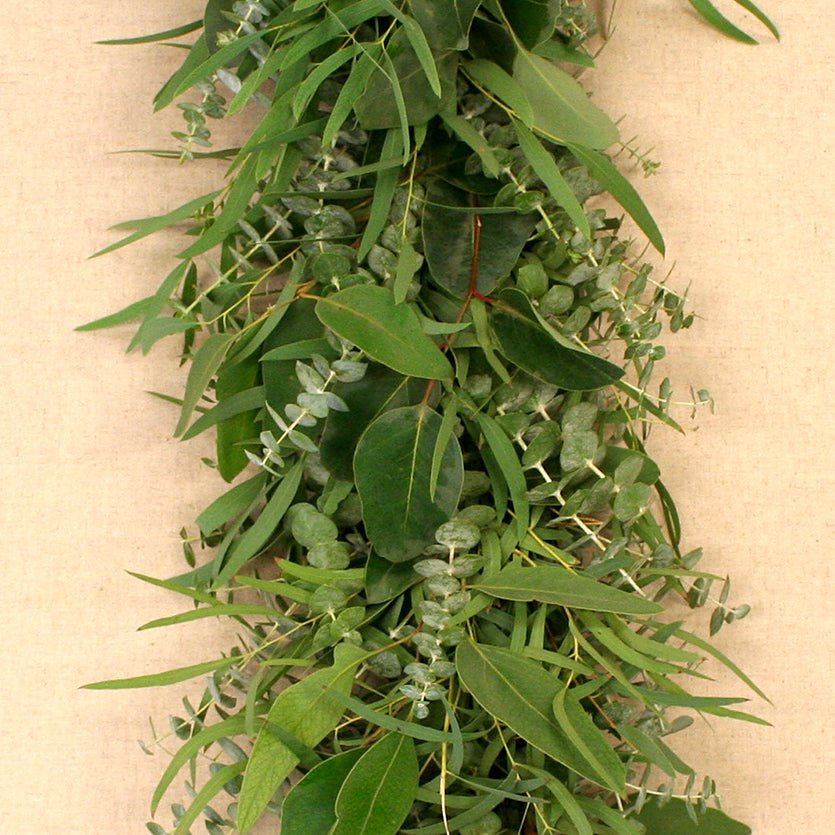 eucalyptus and succulent garland Fresh Eucalyptus Christmas Garland by Creekside Farms