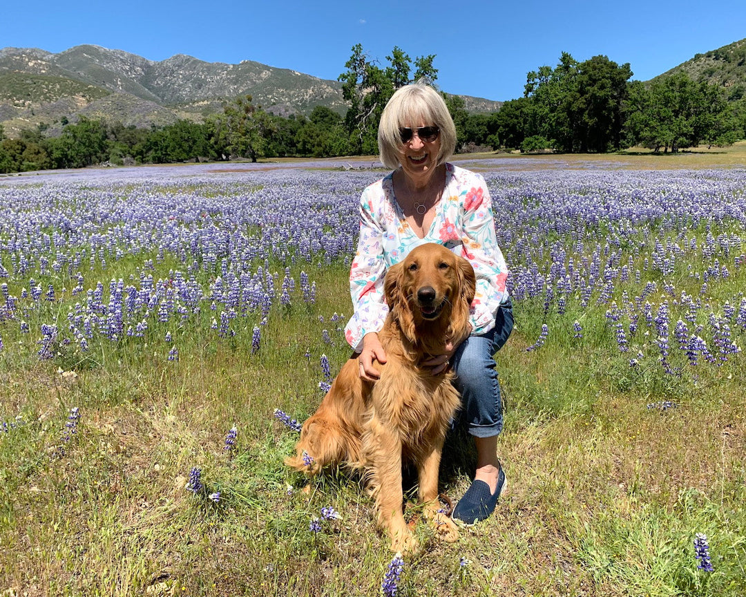 Greetings from Founder, Carol and her dog Lily in a field of flowers.