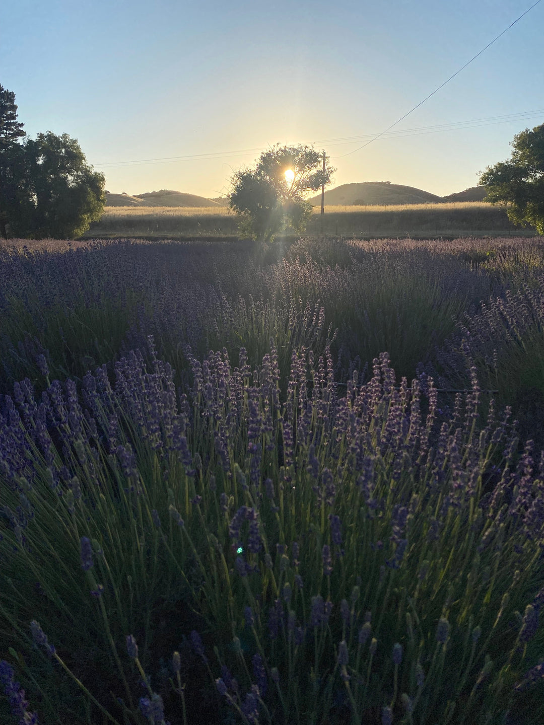 Summer Solstice 2023