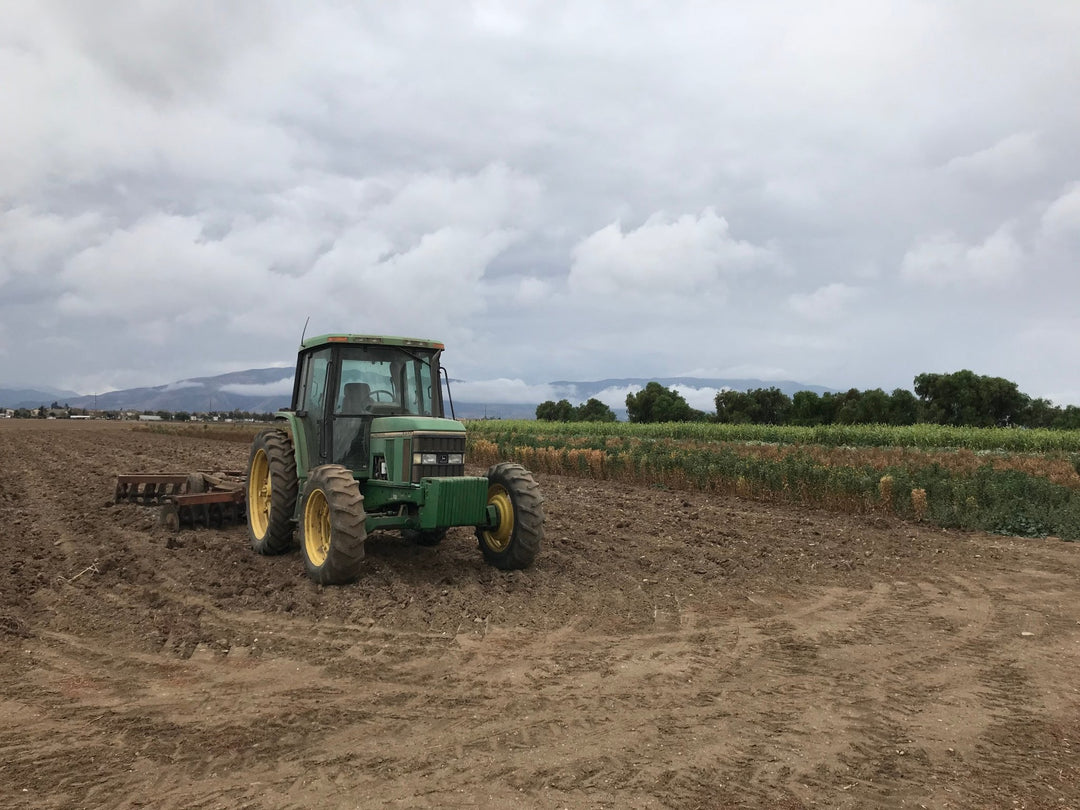 Dirt Is Beautiful Too - Creekside Farms