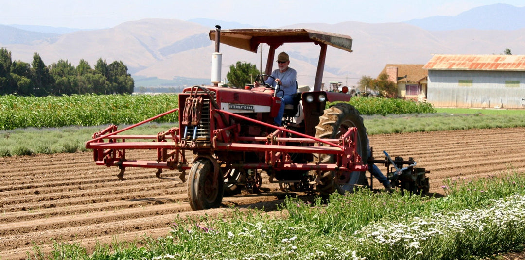 Farm Update - Creekside Farms