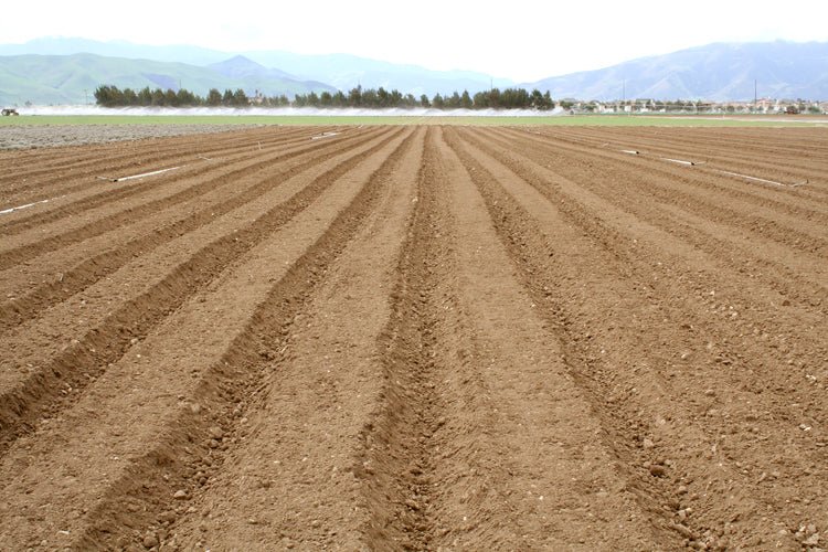 Farm Update - Creekside Farms