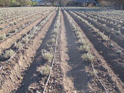 Farming In The Winter - Creekside Farms