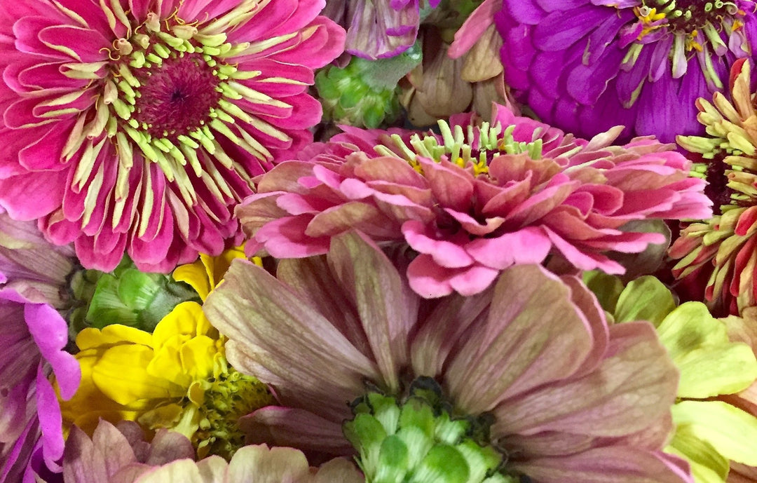Heat Waving from Central California - Creekside Farms