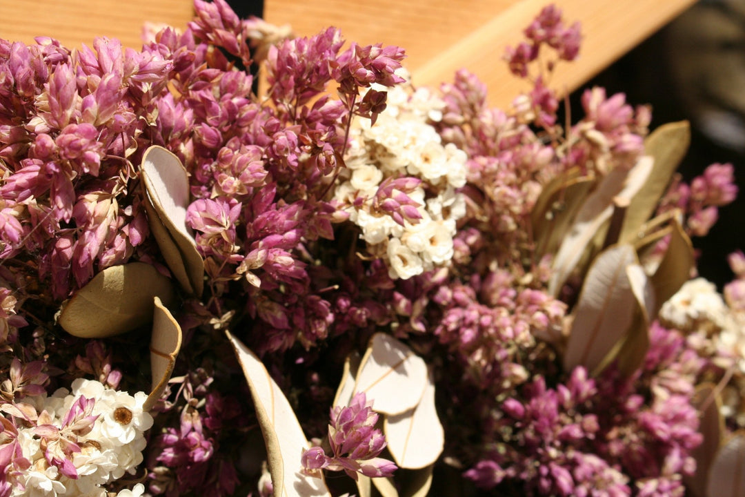 Sounds and Scenes of Spring - Creekside Farms