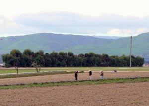 What We’re Up To… - Creekside Farms
