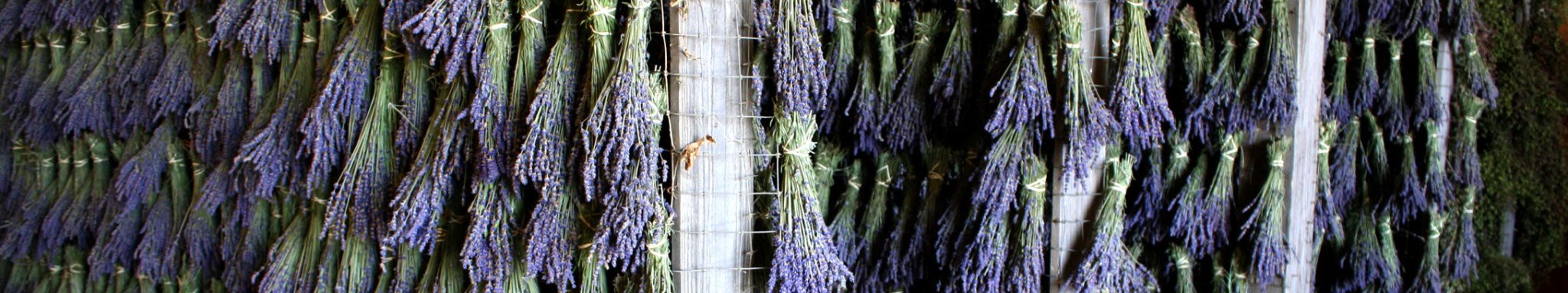 Bundles & Bunches - Creekside Farms