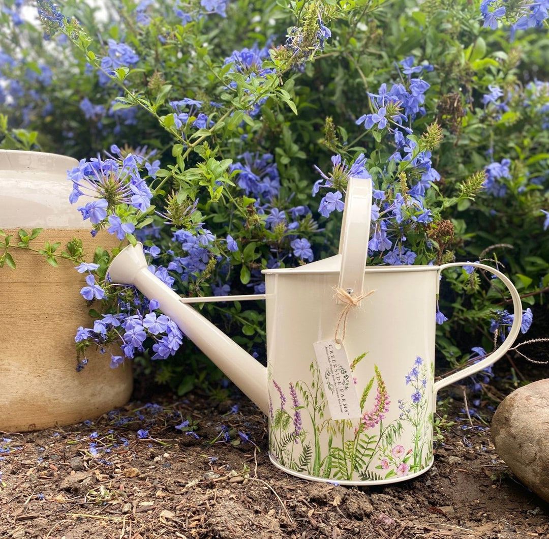 Botanical Watering Can Gift Set - Creekside Farms Functional botanical tin watering can that comes with two lavender bunches for decor. Holds 2 liters.
