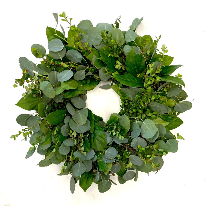 Classic Elegance Wreath - Creekside Farms Enjoy the classic look of fresh eucalyptus, boxwood, and salal greens wreath 18"