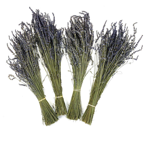 Dried Lavender Bunches - Creekside Farms Beautifully fragrant and hand harvested lavender bunches 20" Long