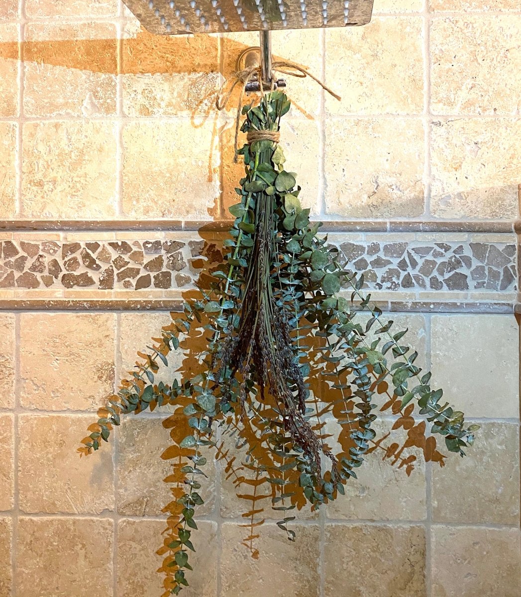 eucalyptus hanging plant for shower Fresh Eucalyptus & Lavender Bunch