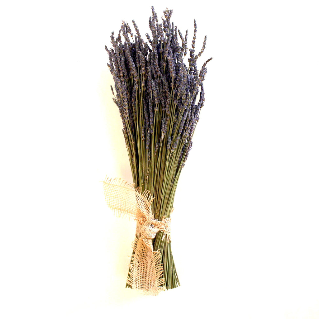 Jumbo Lavender Bundle - Creekside Farms Beautifully fragrant lavender bunch tied with jute ribbon 17"